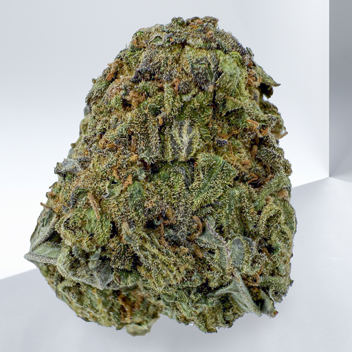 BLUE GOD OGs