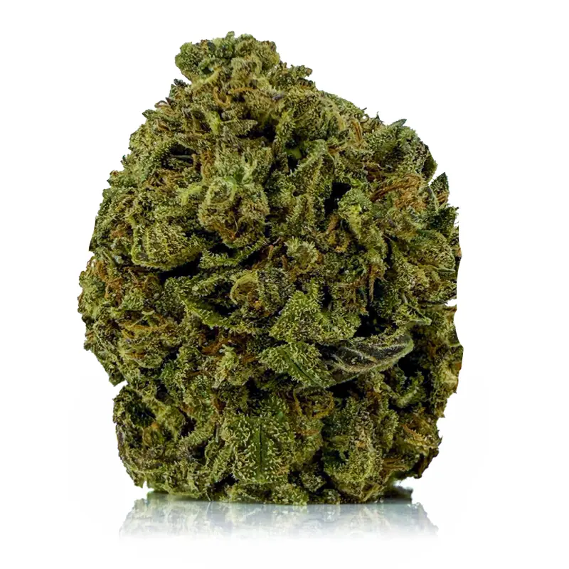 BLACK JACK KUSH