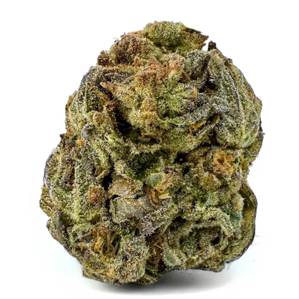PINK GREASY