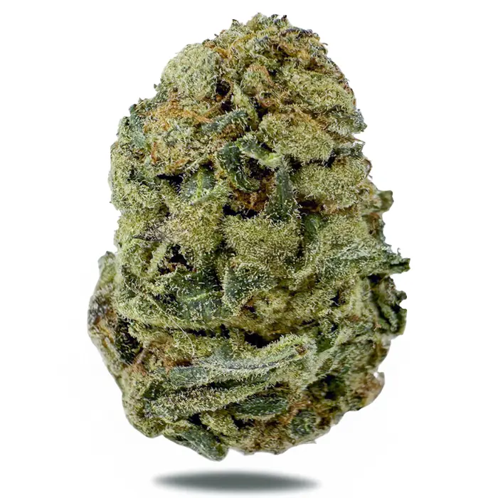 GREEN GELATO