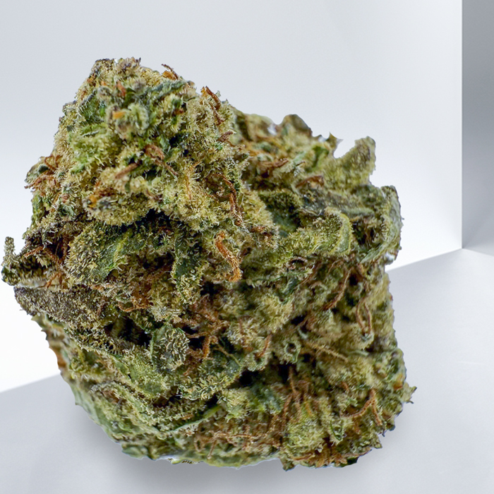 GORILLA GLUE
