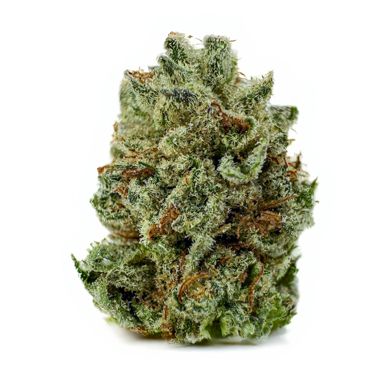 PURPLE OREO (H)