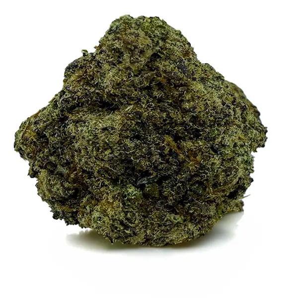 PURPLE GELATO