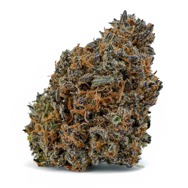 PURPLE RUNTZ