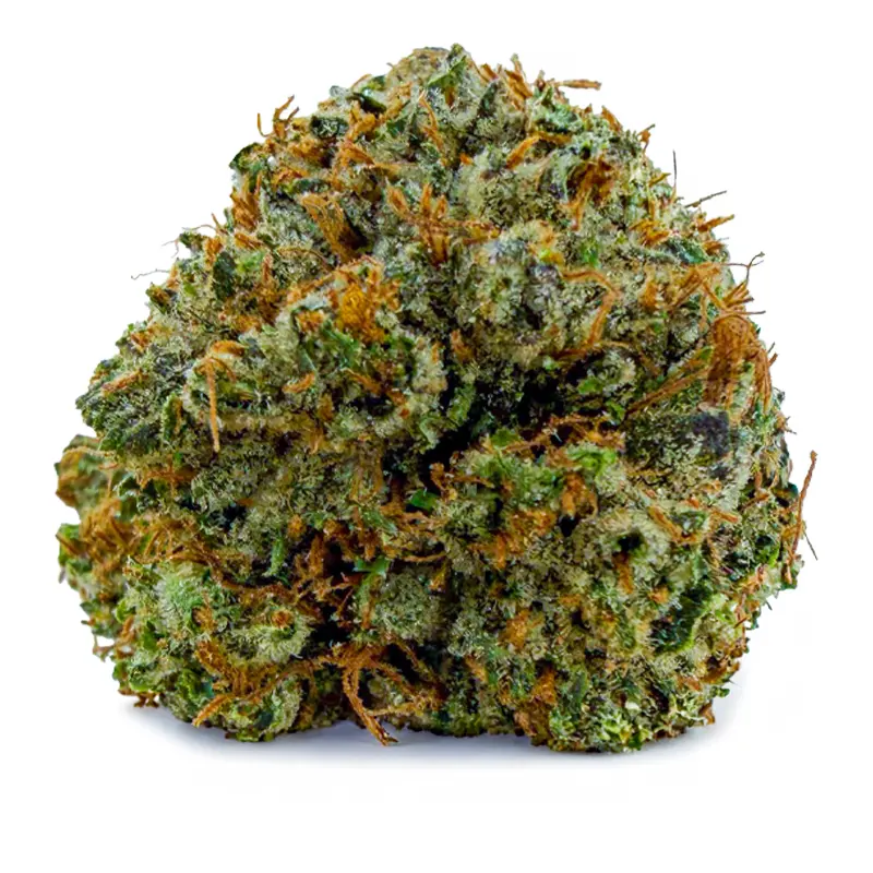 PINK GAS