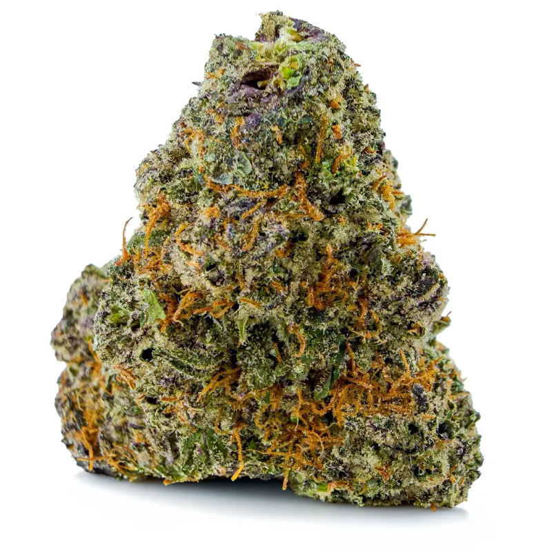OMFG Sativa