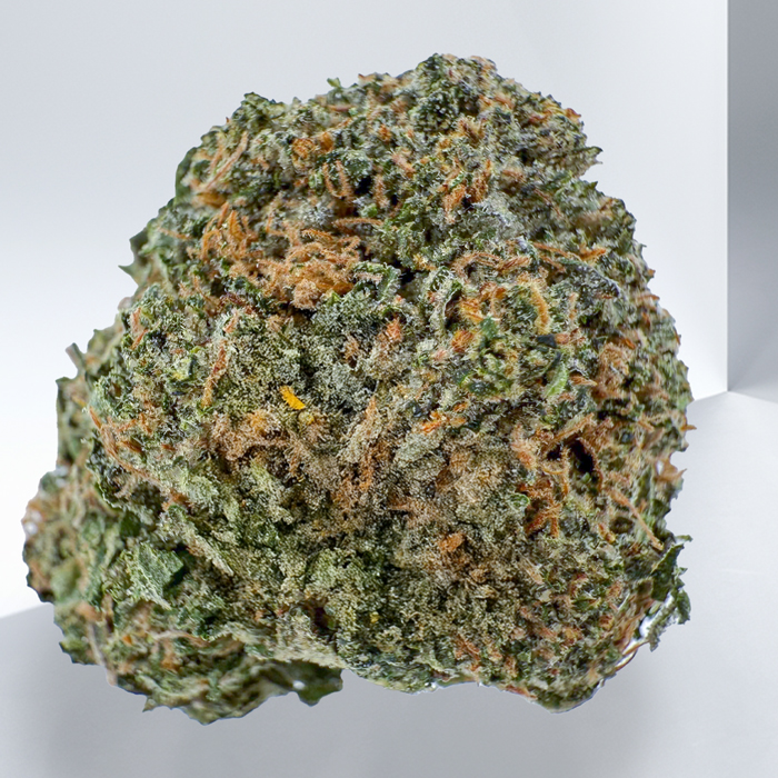 DEATH BUBBA