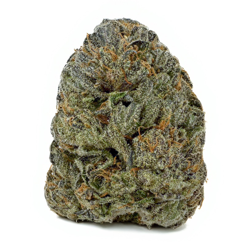 AMNEISA HAZE