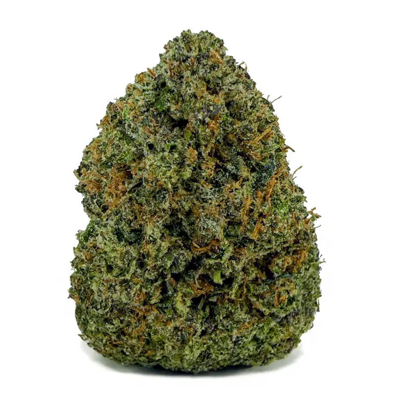 PINK BUBBA