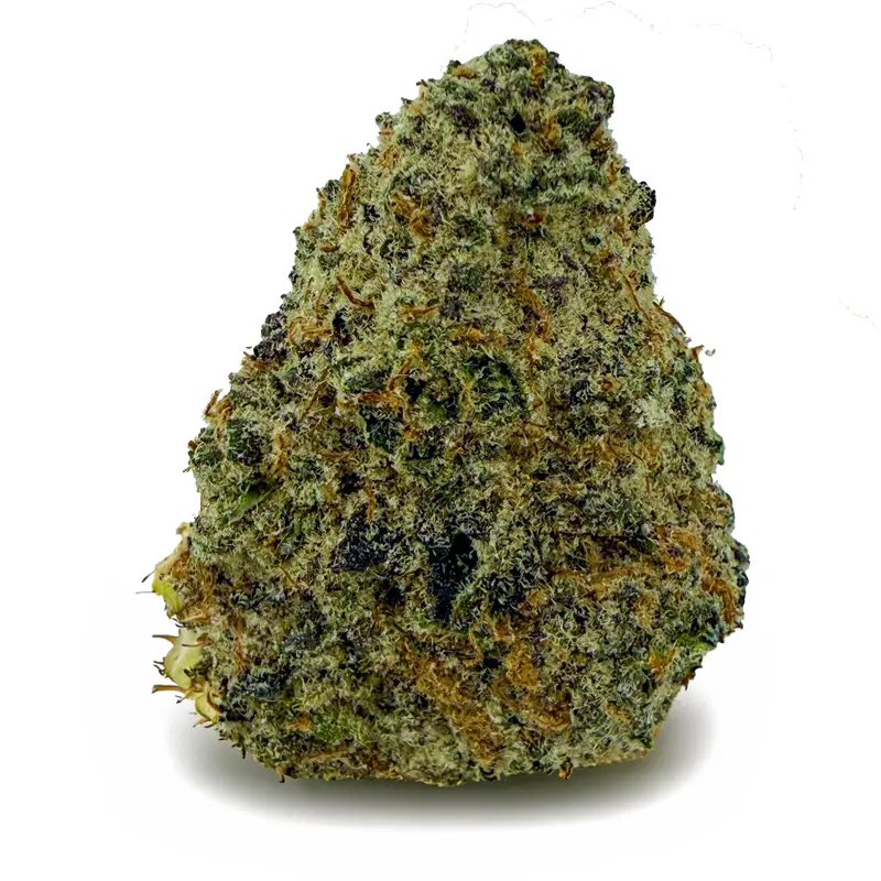 LEMON CHERRY GELATO