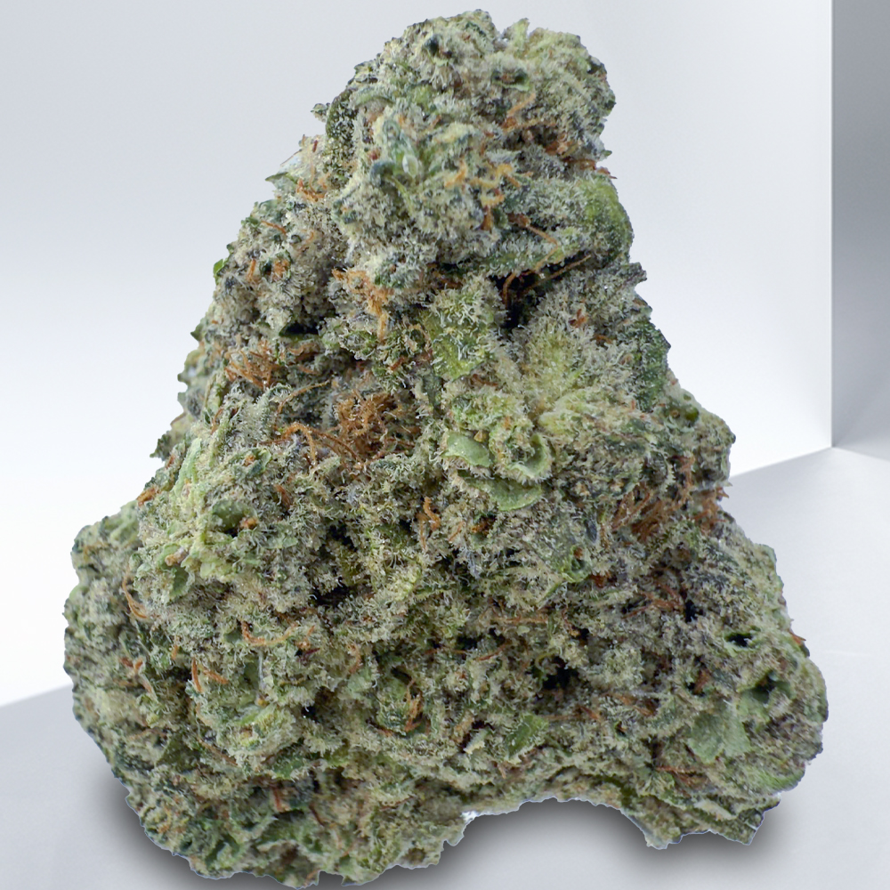 SUNBURST HAZE (SH)
