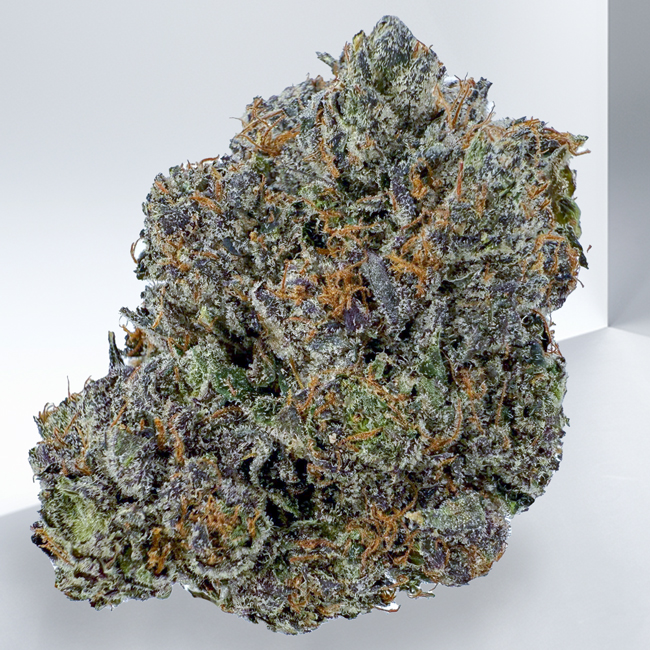PINK ROCKSTAR