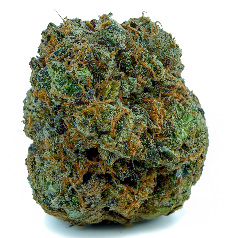 PINK ALIEN