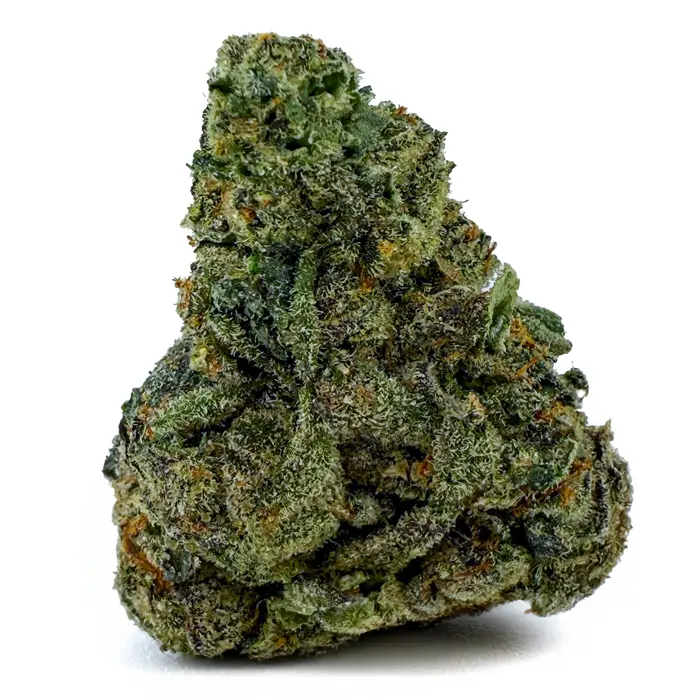 GODFATHER OG