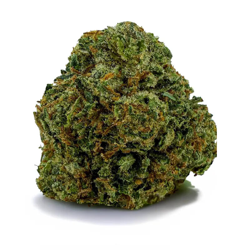 BLACK TUNA