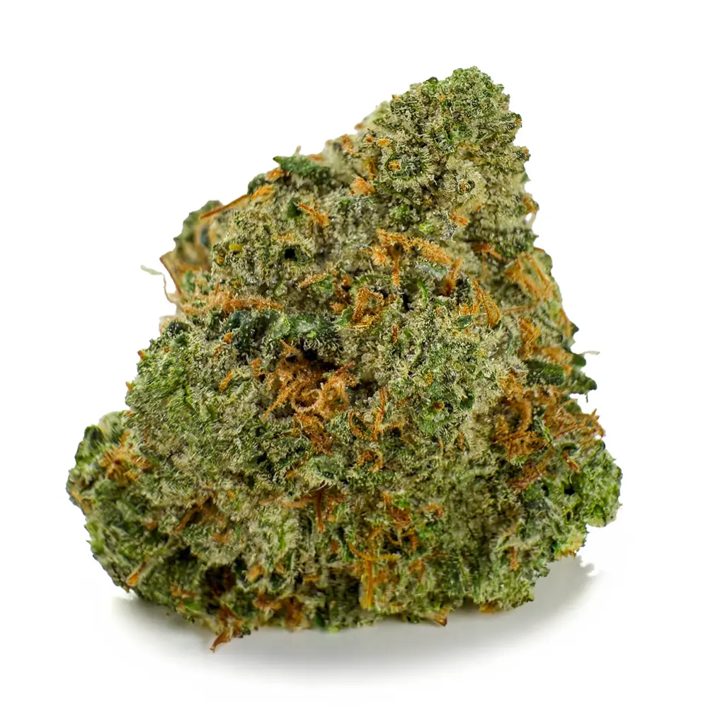 MK ULTRA