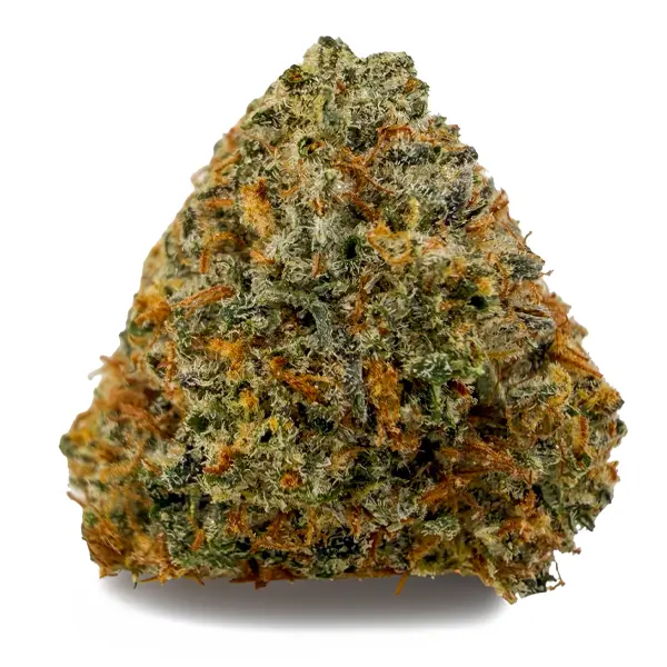 PURPLE PUNCH