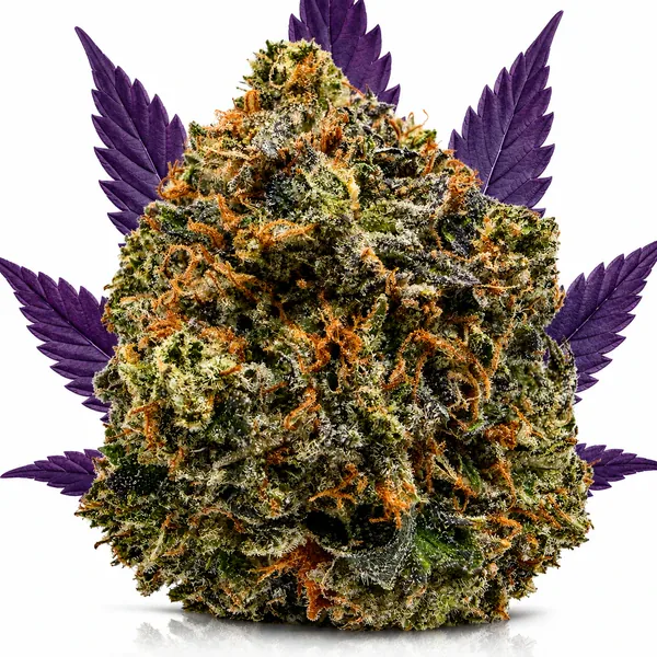 PINK ROYAL on the FORT YORK CANNABIS delivery menu