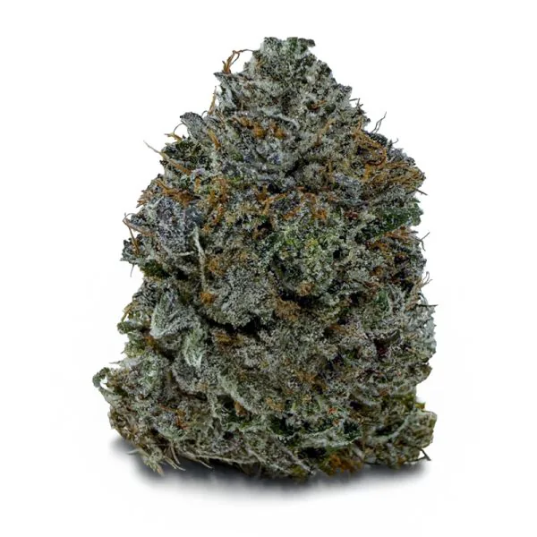 MIKE TYSON KO * LIMITED STOCK * on the FORT YORK CANNABIS delivery menu